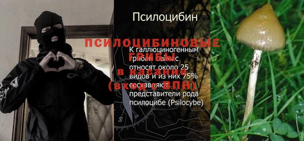 прущий лед Дмитров