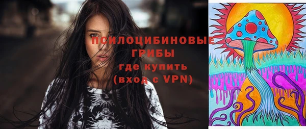 мдпв Горно-Алтайск