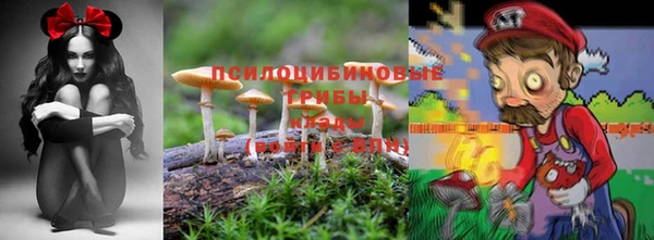 прущий лед Дмитров