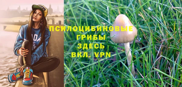 прущий лед Дмитров